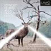 Xtended Hearts & Unheard Herds , Various Artists