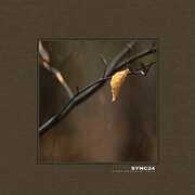 Comfortable Void , Sync24