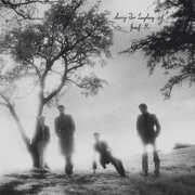 Sorry for Laughing , Josef K