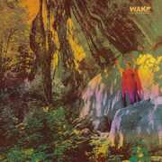 Thought Form Descent , The Wake
