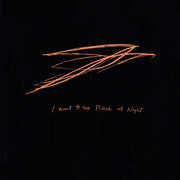 I Want To See Pulaski At Night , Andrew Bird
