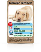 Loveable Dogs Top Trumps 