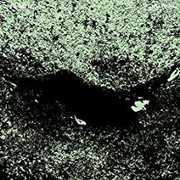 No Trail & Other Unholy Paths , Jaye Jayle