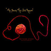 Beauty That Still Remains , Det Norske Jentekor  Haltli  Kielland  Katla  Schola Sanctae Sunnivae  Kleivset  Sundal-Ask