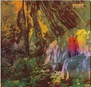 Thought Form Descent , The Wake