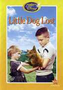 Little Dog Lost 