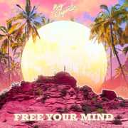 Free Your Mind , Big Gigantic