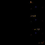 Live Drugs , The War on Drugs