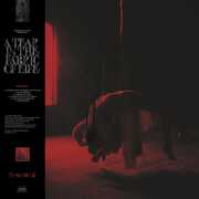 A Tear In The Fabric Of Life , Knocked Loose
