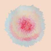 When Words Flew Freely , Signe Marie Rustad