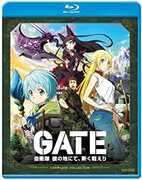 Gate 