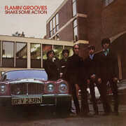 Shake Some Action , Flamin' Groovies