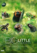 Big Little Journeys 