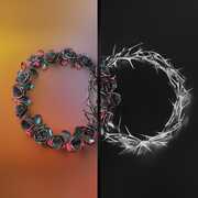 DUAL , The Rose