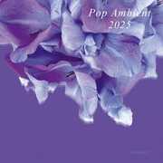Pop Ambient 2025 , Various Artists