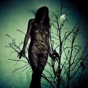 An Ache For The Distance - Martian , Atlas Moth