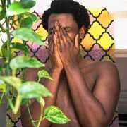 Hope , Shamir