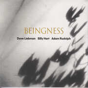 Beingness , Dave Leibman