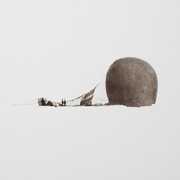 There's a Fault , S.A. Andree
