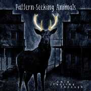 Only Passing Through , Pattern-Seeking Animals