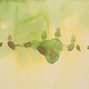 Live at Knoxville Civic Aud. , Yes