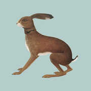 Lookaftering - Expanded , Vashti Bunyan