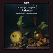 Symphonies , Florian Heyerick