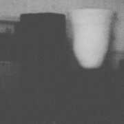 The Prosperity Of Vice, The Misfortune Of Virtue , Merzbow