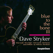Blue To The Bone III , Dave Stryker