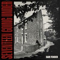 Sam Fender - Seventeen Going Under