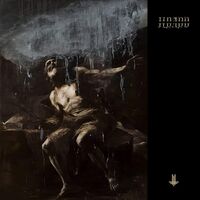 Behemoth - I Loved You At Your Darkest [Colored Vinyl] (Slv)