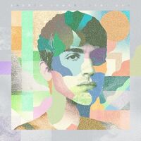 Andrew Combs - Ideal Man [LP]