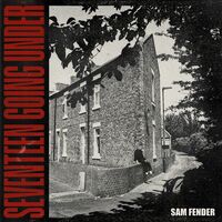 Sam Fender - Seventeen Going Under [LP]