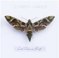 Cowboy Junkies - Such Ferocious Beauty