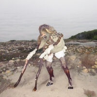 Piebald