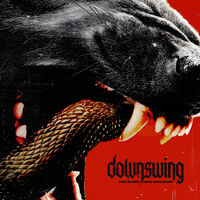 Downswing - & Everything Was Dark