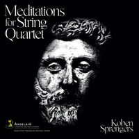 Sprengers, Koben / Foster, Dawn - Sprengers: Meditations for String Quartet