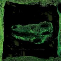 Avey Tare - Down There [Download Included]