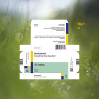 Spiritualized - Everything Was Beautiful [Indie Exclusive Limited Edition Pink LP]