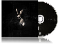 Follow The White Rabbit