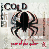 Year Of The Spider