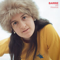 Barrie - Dig / Frankie (Clear Vinyl) [Colored Vinyl] [Clear Vinyl]