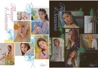 Flower 4 Seasons (Random Cover) (Stic)