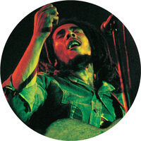 Bob Marley - The Soul Of A Rebel - A Gorgeous Picture Disc Vinyl