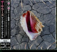 The Killers - Wonderful Wonderful (Bonus Track) (Jpn)