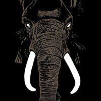 Don't Buy Ivory Anymore! - The Music of Henri Texier