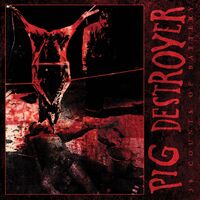 Pig Destroyer - 38 Counts Of Battery (Reissue) [LP]