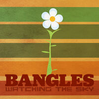 Watching The Sky: The Bangles Box Set (Uk)