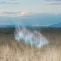 Hollie Kenniff - The Gathering Dawn [LP]