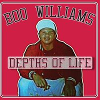 Boo Williams - Family Affair Vol. 1 / Various
